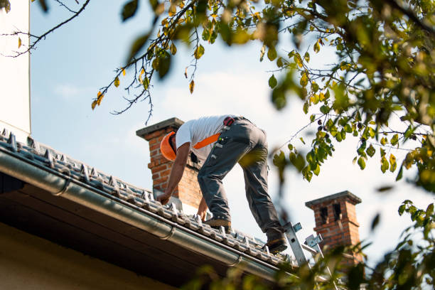 Roof Gutter Cleaning in Perth Amboy, NJ